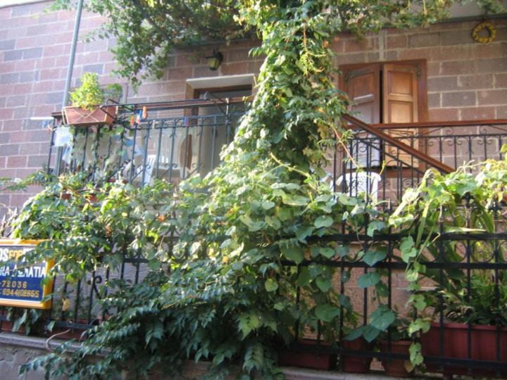 Μαχη Ενοικιαζόμενα Δωμάτια Митимна Екстериор снимка